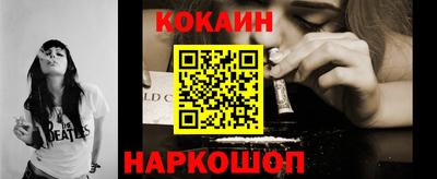 индика Камышлов