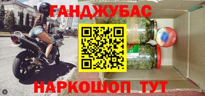 индика Камышлов