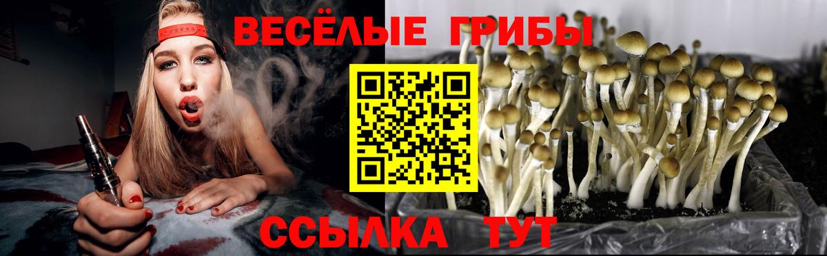 Псилоцибиновые грибы ЛСД Советский